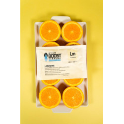 Integra Boost Terpene Essentials Limonene 67G 62% regulator wilgoci