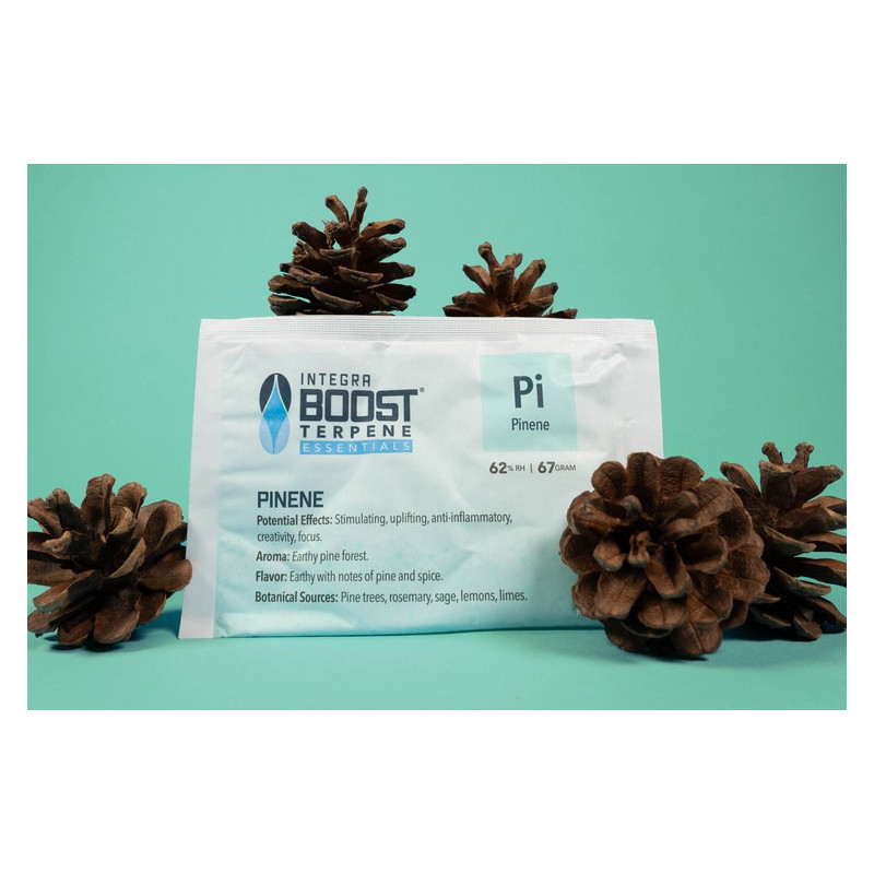 Integra Boost Terpene Essentials Pinene 67G 62% regulator wilgoci Integra Boost Terpene Essentials Pinene 67G 62% regulator wilgoci
