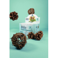Integra Boost Terpene Essentials Pinene 67G 62% regulator wilgoci Integra Boost Terpene Essentials Pinene 67G 62% regulator wilgoci