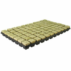 Taca do wysiewu nasion wełna mineralna 77 szt 35x35x40mm Grodan Taca do wysiewu nasion wełna mineralna 77 szt 35x35x40mm Grodan