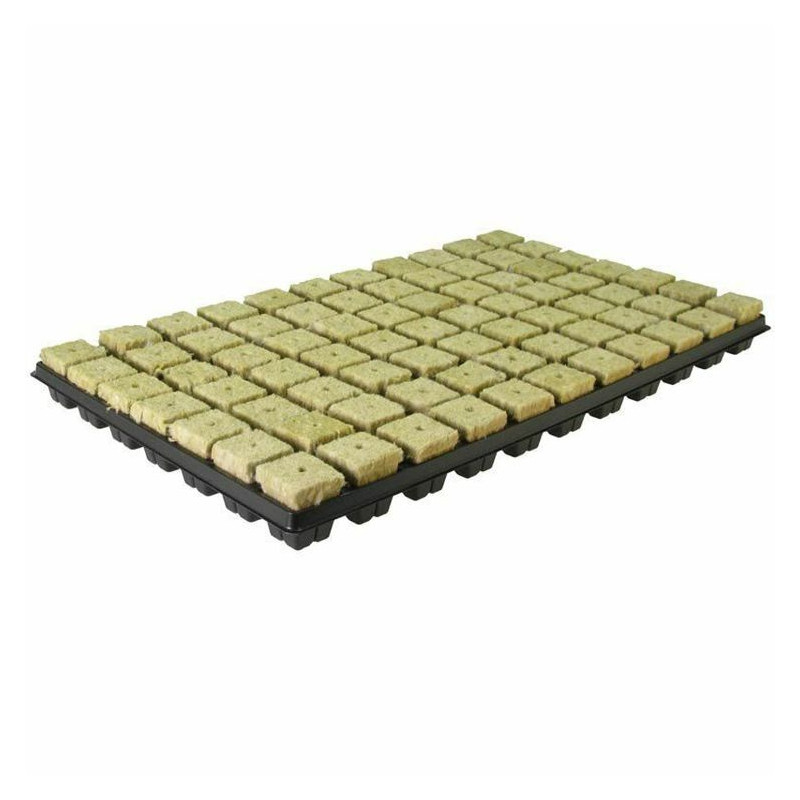 Taca do wysiewu nasion wełna mineralna 77 szt 35x35x40mm Grodan Taca do wysiewu nasion wełna mineralna 77 szt 35x35x40mm Grodan