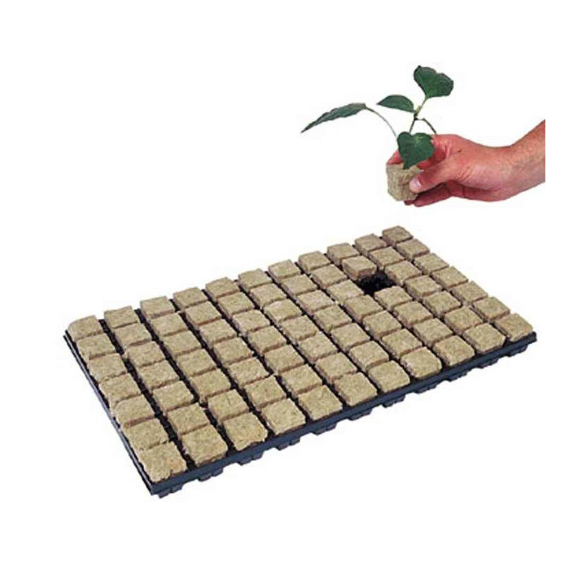 Taca do wysiewu nasion wełna mineralna 77 szt 35x35x40mm Grodan Taca do wysiewu nasion wełna mineralna 77 szt 35x35x40mm Grodan