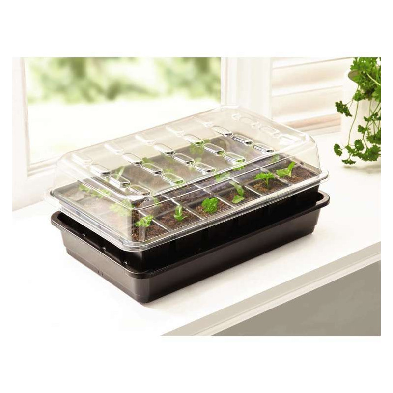 Samonawadniający propagator 37,5 x 23 x h16 cm Garland Samonawadniający propagator 37,5 x 23 x h16 cm Garland
