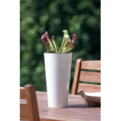 Doniczka ozdobna Tubus Slim Shine 47,6x25cm 15,6L