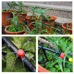 Zestaw nawadniania kropelkowego - 10 kroplowników + wąż 10m