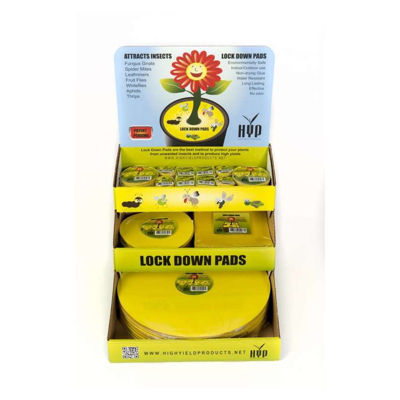 HYP Lock down Pads Round 15cm (6'') - Okrągła Pułapka owadobójcza/ lep na owady 8szt HYP Lock down Pads Round 15cm (6'') - Okrągła Pułapka owadobójcza/ lep na owady 8szt