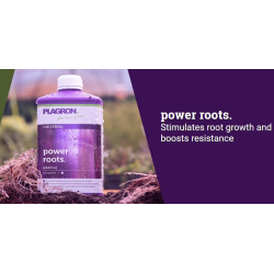 Nawóz Plagron power roots 100ml | Na ukorzenianie Nawóz Plagron power roots 100ml | Na ukorzenianie