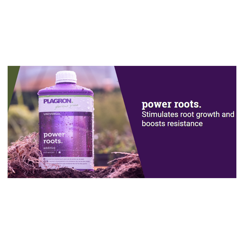 Nawóz Plagron power roots 100ml | Na ukorzenianie Nawóz Plagron power roots 100ml | Na ukorzenianie