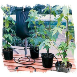 System nawadniający kropelkowo Wassertech dripper Big drippa na 6 roślin System nawadniający kropelkowo Wassertech dripper Big drippa na 6 roślin