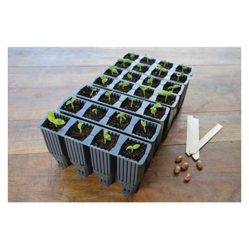 Garland Plastikowe wkłady do ukorzeniania - 28 komórek do ukorzeniania roślin 4x4x12cm