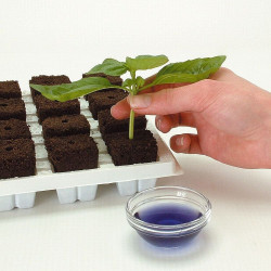 Growth Technology Root Riot Tray - kostki gąbki torfowe do sadzonek / klonów taca 24szt Growth Technology Root Riot Tray - kostki gąbki torfowe do sadzonek / klonów taca 24szt