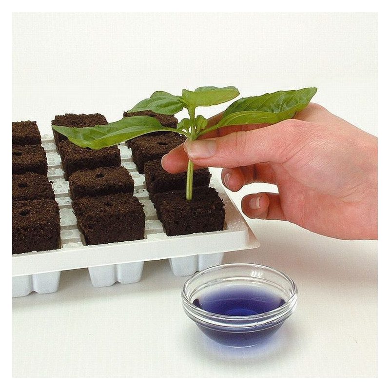 Growth Technology Root Riot Tray - kostki gąbki torfowe do sadzonek / klonów taca 24szt Growth Technology Root Riot Tray - kostki gąbki torfowe do sadzonek / klonów taca 24szt