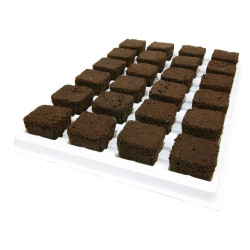 Growth Technology Root Riot Tray - kostki gąbki torfowe do sadzonek / klonów taca 24szt Growth Technology Root Riot Tray - kostki gąbki torfowe do sadzonek / klonów taca 24szt
