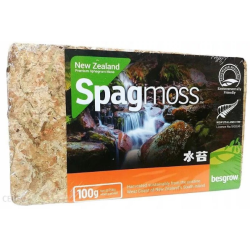 Besgrow Mech torfowiec Sphagnum Spagmoss 100G 8L