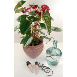 Blumat Classic dla roślin domowych 3 szt. - automatyczne podlewaczki