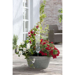 Blumat Easy Automatyczne podlewaczki butelkowe do kwiatów doniczkowych, 3 szt.