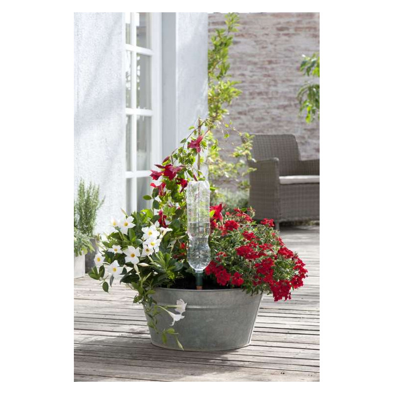 Blumat Easy Automatyczne podlewaczki butelkowe do kwiatów doniczkowych, 3 szt.