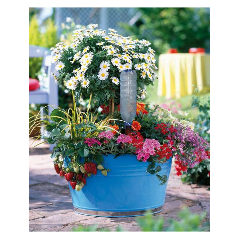 Blumat Easy Automatyczne podlewaczki butelkowe do kwiatów doniczkowych, 3 szt.