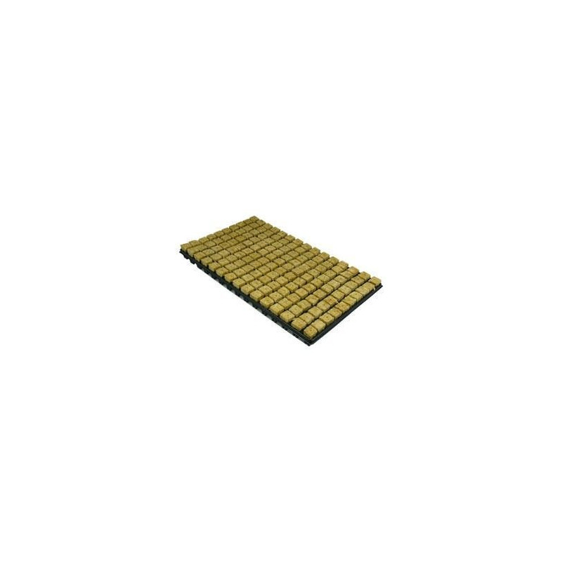 Taca do wysiewu nasion wełna mineralna grodan 150 sztuk 25x25x40mm Taca do wysiewu nasion wełna mineralna grodan 150 sztuk 25x25x40mm