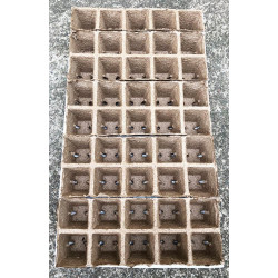 Taca torfowa JIFFY - 45 doniczek 6x6cm | 55x31cm
