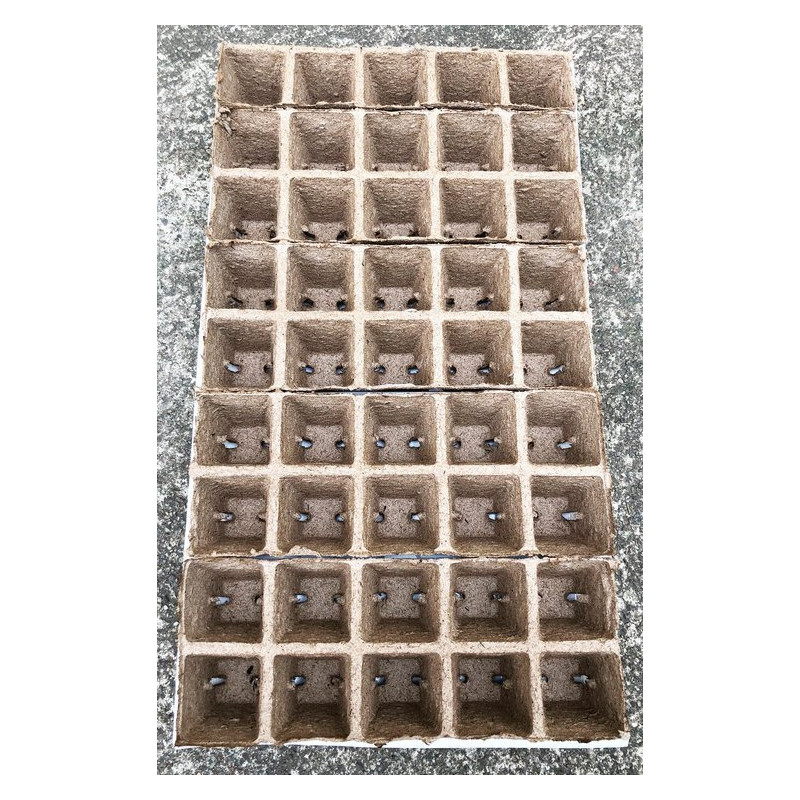 Taca torfowa JIFFY - 45 doniczek 6x6cm | 55x31cm