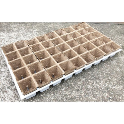 Taca torfowa JIFFY - 45 doniczek 6x6cm | 55x31cm