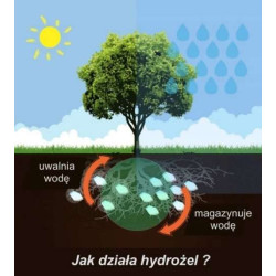 Hydrożel ogrodniczy do roślin i kwiatów 1kg Hydrożel ogrodniczy do roślin i kwiatów 1kg