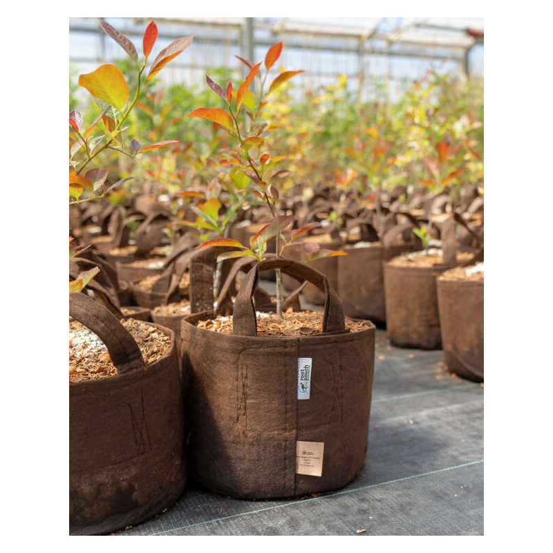 Growbag Root Pouch doniczka materiałowa 43x38cm 56L z uchwytami brązowa