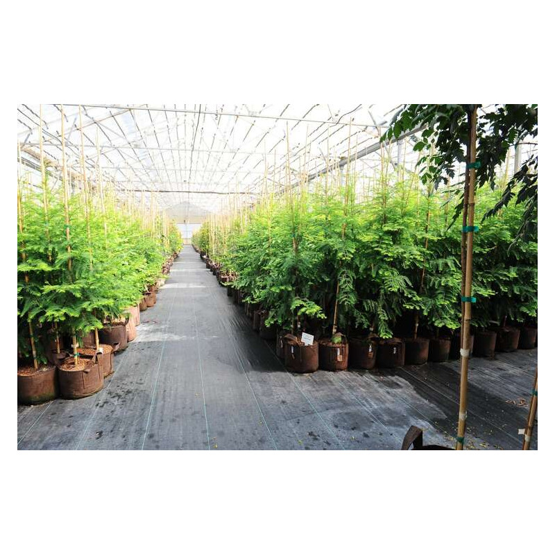 Growbag Root Pouch doniczka materiałowa 43x38cm 56L z uchwytami brązowa