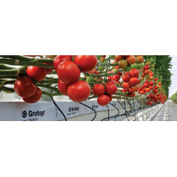 Grodan Mata z Wełny Mineralnej Grotop Master® 100x15x7,5cm / 2 warstwy włókien Grodan Mata z Wełny Mineralnej Grotop Master® 100x15x7,5cm / 2 warstwy włókien