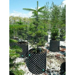 Air-Pot® 5L ø 23,2 cm, H 23,5 cm Air-Pot® 5L ø 23,2 cm, H 23,5 cm