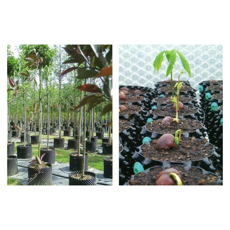Air-Pot® 5L ø 23,2 cm, H 23,5 cm Air-Pot® 5L ø 23,2 cm, H 23,5 cm