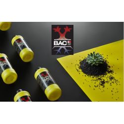 BAC COCO bloom A+B  2x1l na kwitnienie