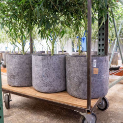 Growbag Root Pouch doniczka materiałowa 43x38cm 56L z uchwytem szara