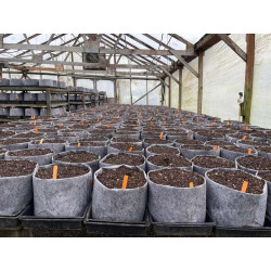 Growbag Root Pouch doniczka materiałowa 43x38cm 56L z uchwytem szara