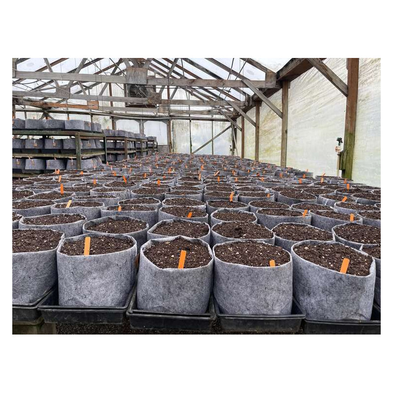 Growbag Root Pouch doniczka materiałowa 43x38cm 56L z uchwytem szara