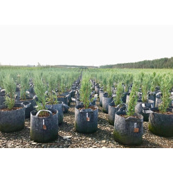 Growbag Root Pouch doniczka materiałowa 43x38cm 56L z uchwytem szara