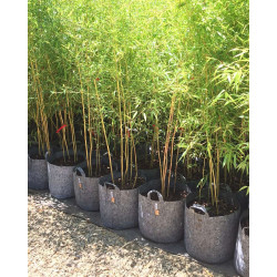 Growbag Root Pouch doniczka materiałowa 43x38cm 56L z uchwytem szara