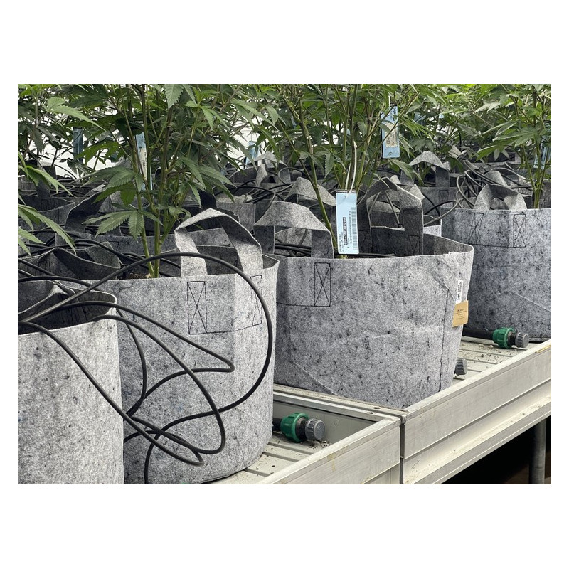 Growbag Root Pouch doniczka materiałowa 43x38cm 56L z uchwytem szara