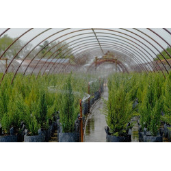 Growbag Root Pouch doniczka materiałowa 43x38cm 56L z uchwytem szara