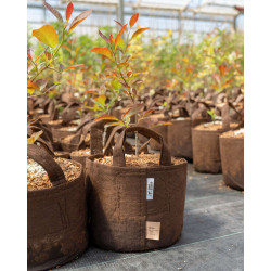 Growbag Root Pouch doniczka materiałowa 38x40cm 45L z uchwytami brązowa