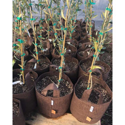 Growbag Root Pouch doniczka materiałowa 38x40cm 45L z uchwytami brązowa