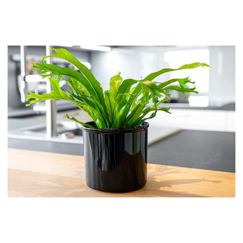 LENI CORONA 15/12 osłonka cylindryczna czarna z połyskiem