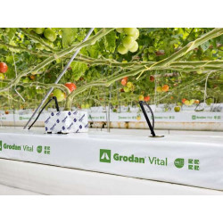 Grodan Mata Vital z wełny mineralnej podłoże do upraw 1m