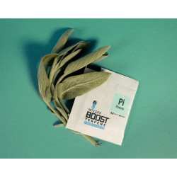 Integra Boost Terpene Essentials Pinene 4G 62% regulator wilgoci Integra Boost Terpene Essentials Pinene 4G 62% regulator wilgoci