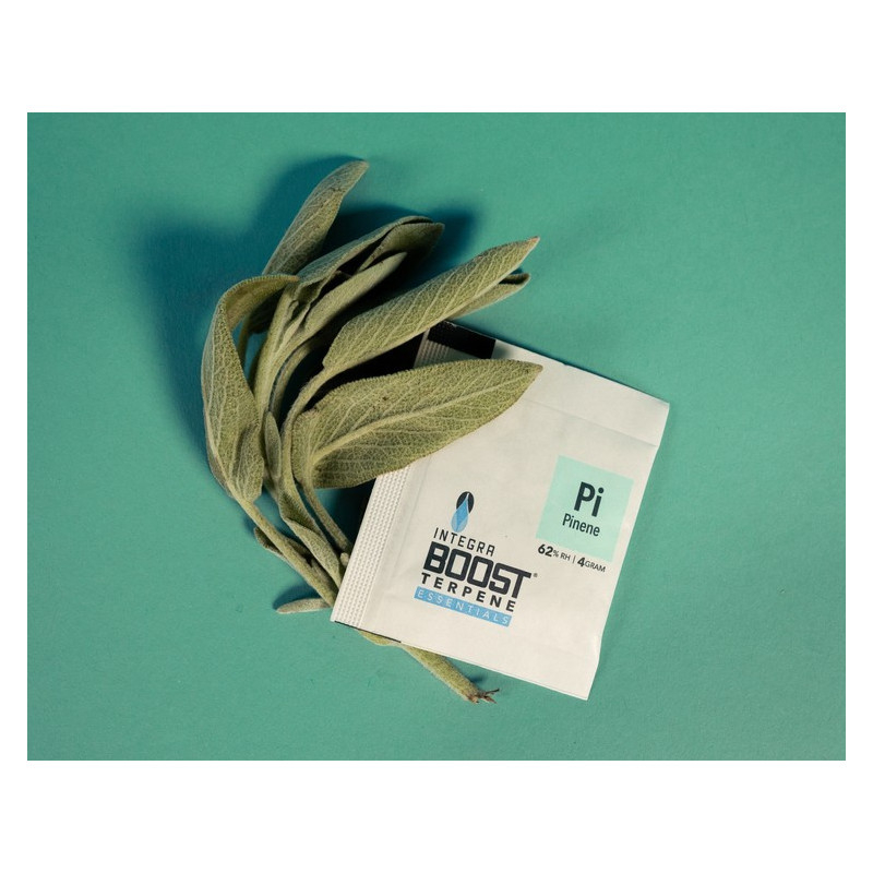 Integra Boost Terpene Essentials Pinene 4G 62% regulator wilgoci Integra Boost Terpene Essentials Pinene 4G 62% regulator wilgoci