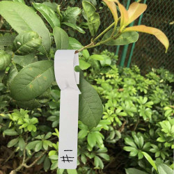 Herbgarden Plant Wrap Tags White - samozaciskowe etykiety na rośliny 2x21cm |100szt Herbgarden Plant Wrap Tags White - samozaciskowe etykiety na rośliny 2x21cm |100szt