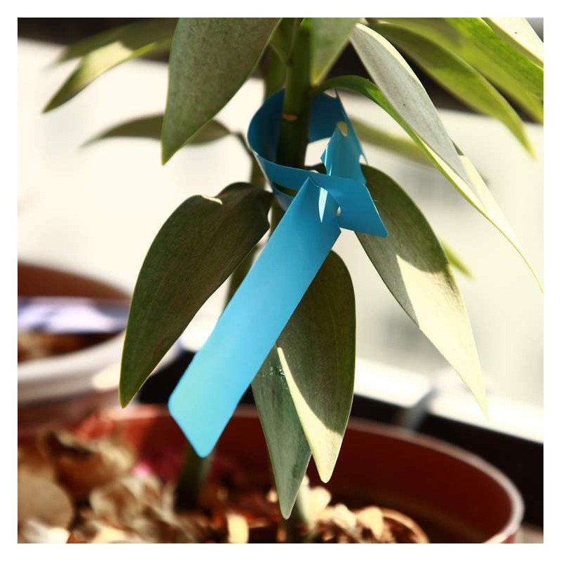 Herbgarden Plant Wrap Tags Blue - samozaciskowe etykiety na rośliny 2x21cm |100szt