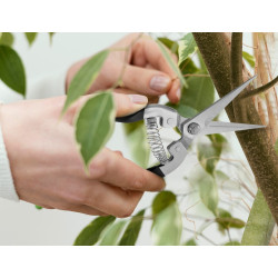 Herbgarden Spring Scissors - nożyczki sprężynowe do przycinania roślin