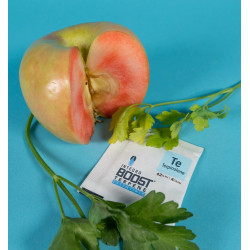 Integra Boost Terpene Essentials Terpinolene 4G 62% regulator wilgoci